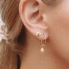 Midsummer Star / Dainty Seashell Studs - Gold