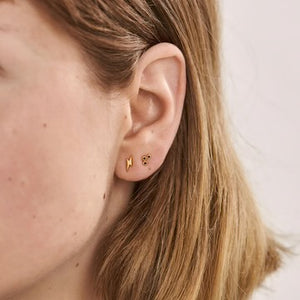 Midsummer Star / Zap Studs - Gold