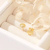 Midsummer Star / Dainty Seashell Studs - Gold