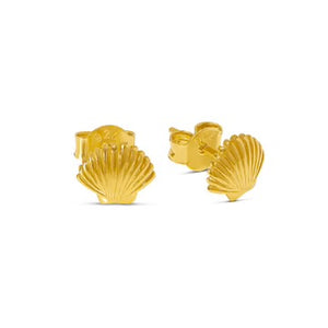 Midsummer Star / Dainty Seashell Studs - Gold